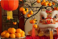 新年賀詞 | 筑夢未來，在這里展翅騰飛